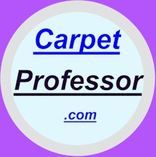 Carpet Professor Logo 250 Round